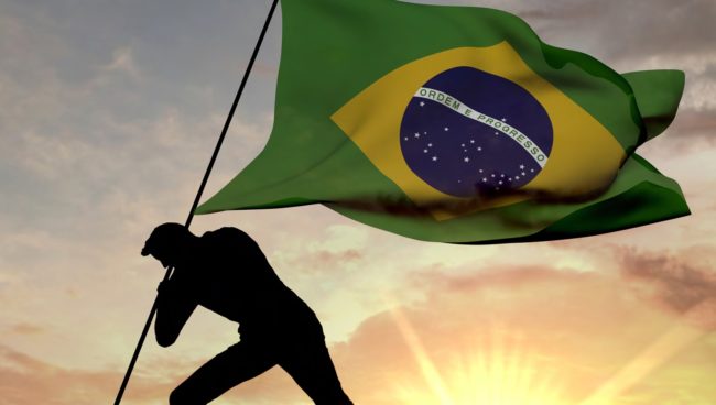 Taste of Brazil & Live Lunch