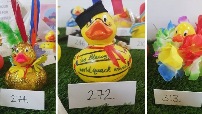 Who will be the 2018 Best Dressed Duck?