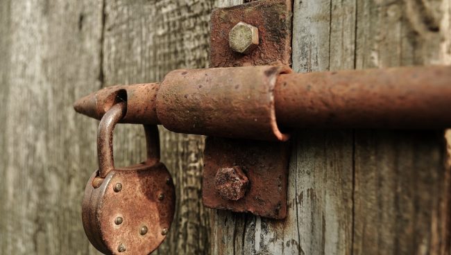 Unlock the door to Birchwood's hidden past