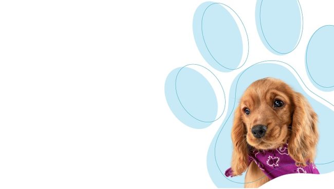Birchwoof Week, 16th - 20th September