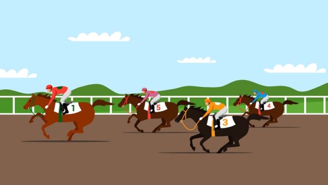 Grand National Sweepstake