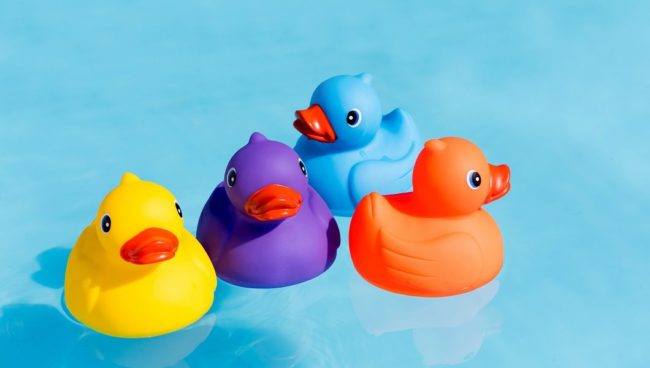 Duck Dash - Get your digital ducks now!