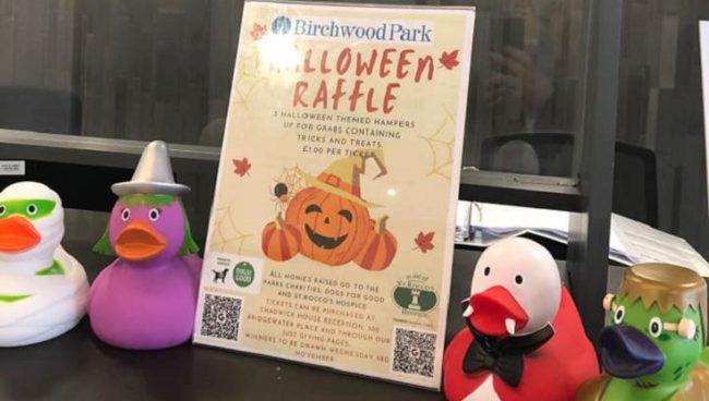 Something spooky going on at Birchwood Park!