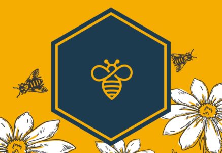 Wellbeing Month | Honey Harvest