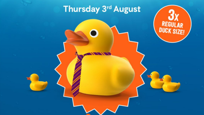 Duck Dash - Corporate Ducks now on sale!