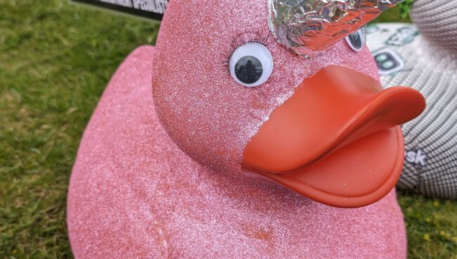 Corporate Duck: Goodlife Recruitment