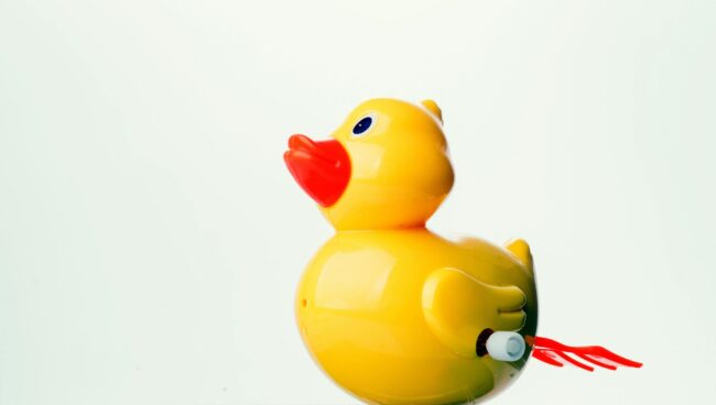 Calling all engineers and innovators as we ‘Rev’ up our Duck Dash